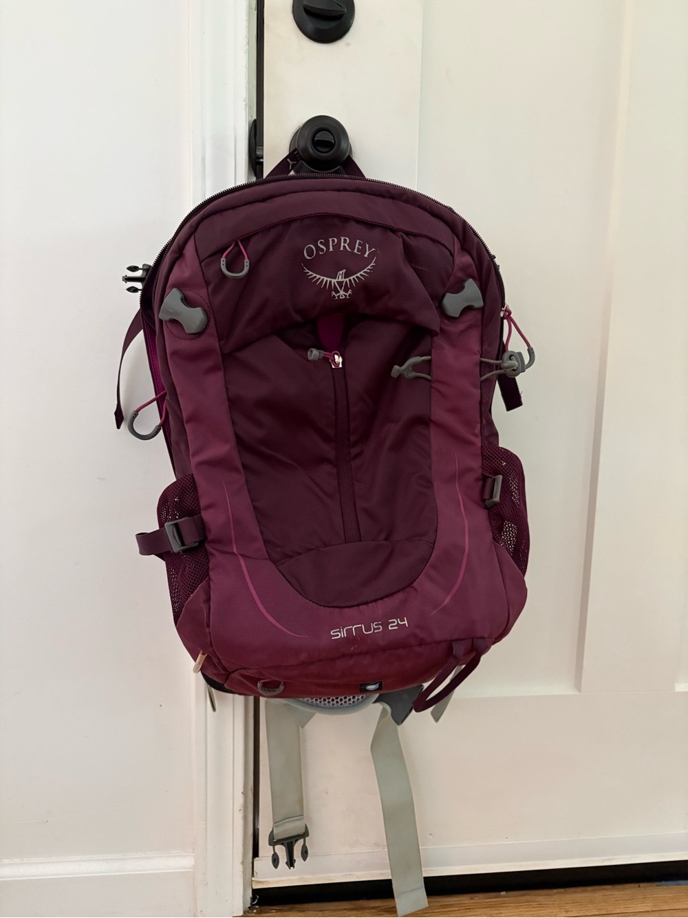 OSPREY Sirrus 24 Backpack in Burgundy Plum